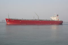 Thumbnail Image for Star Falcon