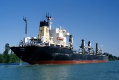 Thumbnail Image for Peonia oncontextmenu=