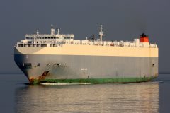 Thumbnail Image for Dignity Ace