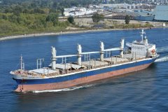 Thumbnail Image for Aurora Bulker