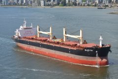 Thumbnail Image for Blue Fin