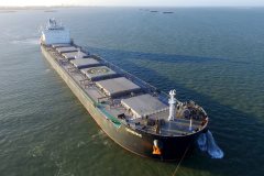 Thumbnail Image for Genesis