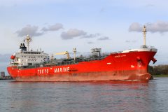 Thumbnail Image for Ginga Lynx