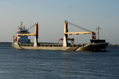 Thumbnail Image for FWN Splendide