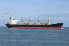 Thumbnail Image for Gant Grace