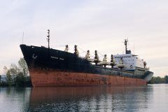 Thumbnail Image for Phoenician Trader oncontextmenu=