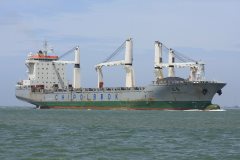 Thumbnail Image for Chipolbrok Sun