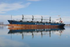 Thumbnail Image for Tasman Sea