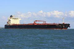 Thumbnail Image for Flagship Orchid oncontextmenu=