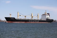 Thumbnail Image for Regalica