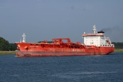 Thumbnail Image for Gennaro Ievoli