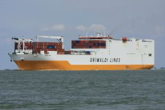 Thumbnail Image for Grande Tema