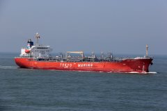 Thumbnail Image for Ginga Caracal