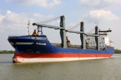 Thumbnail Image for Kallio