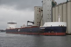 Thumbnail Image for G3 Marquis