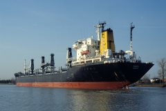 Thumbnail Image for Punica oncontextmenu=