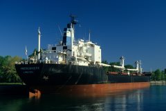 Thumbnail Image for Protagonistic oncontextmenu=