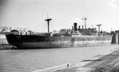 Thumbnail Image for Polegate