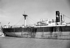 Thumbnail Image for Polegate