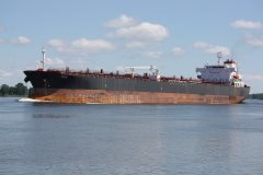 Thumbnail Image for Juniper 4