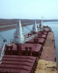 Thumbnail Image for Polydefkis style=