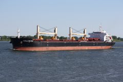 Thumbnail Image for Yellow Fin