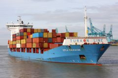 Thumbnail Image for Leyla Kalkavan