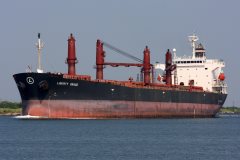 Thumbnail Image for Liberty Grace