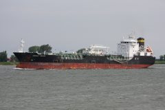 Thumbnail Image for Asphalt Sailor