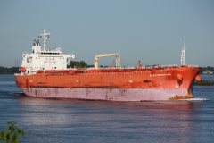 Thumbnail Image for Eagle Matsuyama