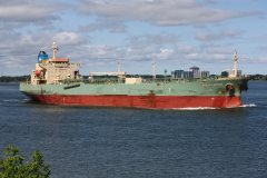 Thumbnail Image for Pacific Citrine