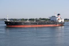 Thumbnail Image for Asphalt Eagle