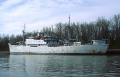 Thumbnail Image for Annaflora