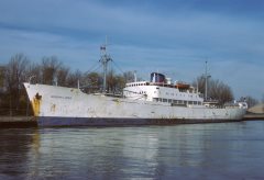 Thumbnail Image for Annaflora