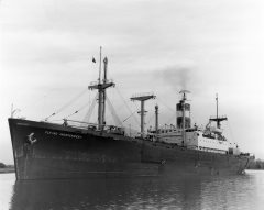 Thumbnail Image for Flying Independent