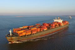 Thumbnail Image for Maule