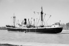 Thumbnail Image for Carina oncontextmenu=