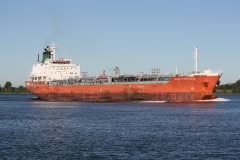 Thumbnail Image for North Contender oncontextmenu=