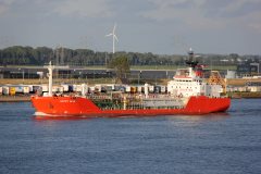 Thumbnail Image for Happy Bear oncontextmenu=