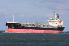 Thumbnail Image for Oriental Freesia oncontextmenu=