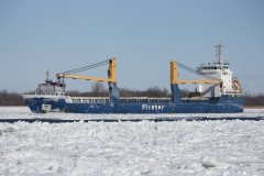 Thumbnail Image for Flinter Trader