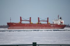 Thumbnail Image for Seavenus