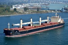 Thumbnail Image for Owl