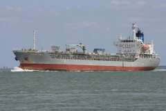 Thumbnail Image for Southern Zebra oncontextmenu=