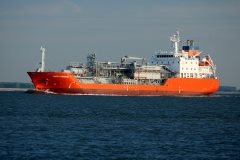 Thumbnail Image for Happy Penguin oncontextmenu=