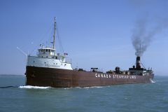 Thumbnail Image for Collingwood