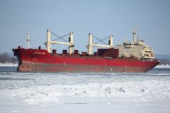 Thumbnail Image for Federal Swift