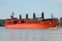 Thumbnail Image for Daiwan Kalon