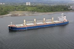 Thumbnail Image for IDC Falcon