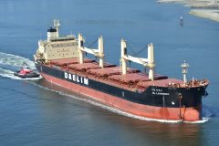 Thumbnail Image for DL Lavender